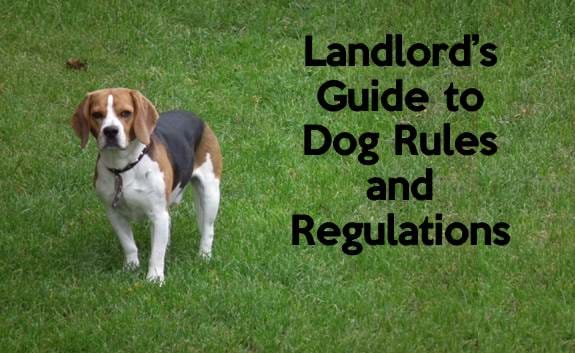 Landlord S Guide To Apartment Pet Rules Rentprep